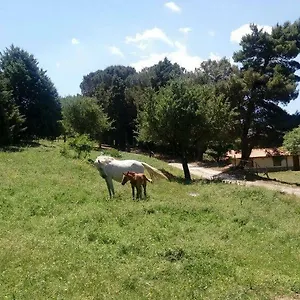  Alloggio per agriturismo Bosco Pianetti Italia